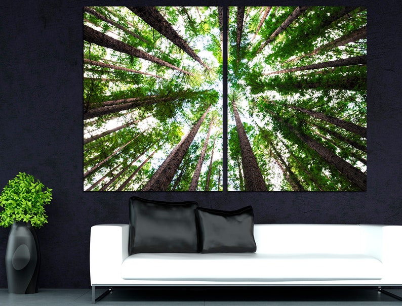 May include: A split canvas print featuring a view of tall trees from below, with the sky visible through the branches. The trees are green and the sky is blue.