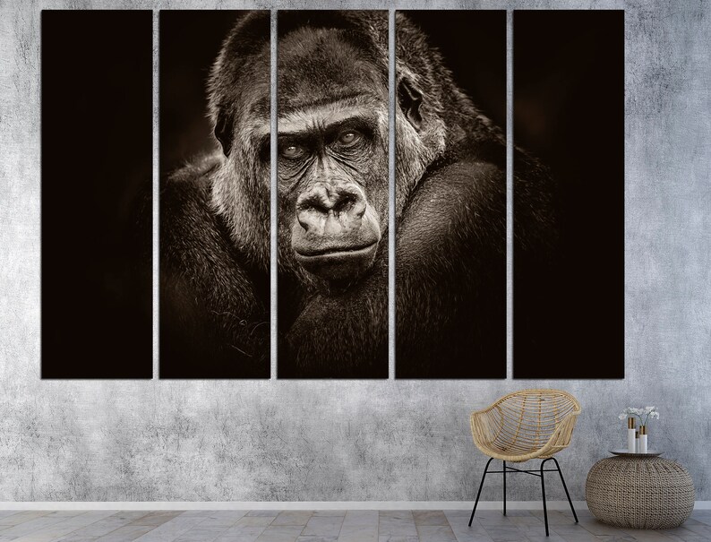 May include: A black and white close-up photograph of a gorilla's face. The gorilla is looking directly at the camera with a serious expression. The image is split into five sections.