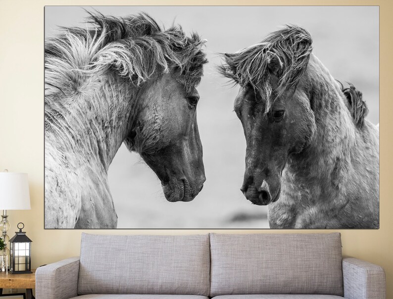 May include: Black and white photograph of two horses facing each other. The horses have long, flowing manes and tails. The background is blurred.