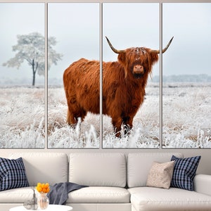 K&ouml;nnte beinhalten: Eine braune Highland-Kuh mit langen H&ouml;rnern steht auf einem schneebedeckten Feld. Das Feld ist mit Frost bedeckt und die Kuh schaut direkt in die Kamera.