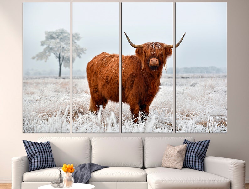 K&ouml;nnte beinhalten: Eine braune Highland-Kuh mit langen H&ouml;rnern steht auf einem schneebedeckten Feld. Das Feld ist mit Frost bedeckt und die Kuh schaut direkt in die Kamera.