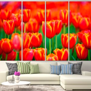 May include: A close-up of a field of red and yellow tulips. The tulips are in full bloom and the petals are soft and delicate.