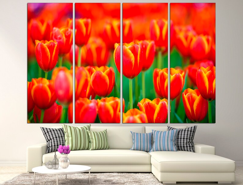 May include: A close-up of a field of red and yellow tulips. The tulips are in full bloom and the petals are soft and delicate.