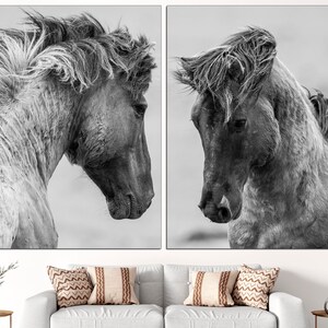 May include: A black and white photograph of two horses with their heads turned towards each other. The horses have long, flowing manes and are in a field.
