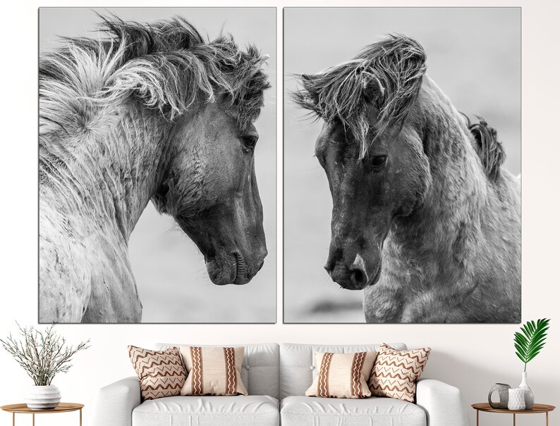 May include: A black and white photograph of two horses with their heads turned towards each other. The horses have long, flowing manes and are in a field.