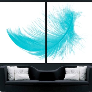 May include: A single, large, turquoise feather on a white background. The feather is spread out and appears to be floating.