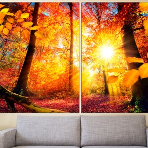 May include: A split canvas print of a forest scene with vibrant fall foliage in shades of red, orange, and yellow. The sun shines through the trees, creating a warm and inviting atmosphere.