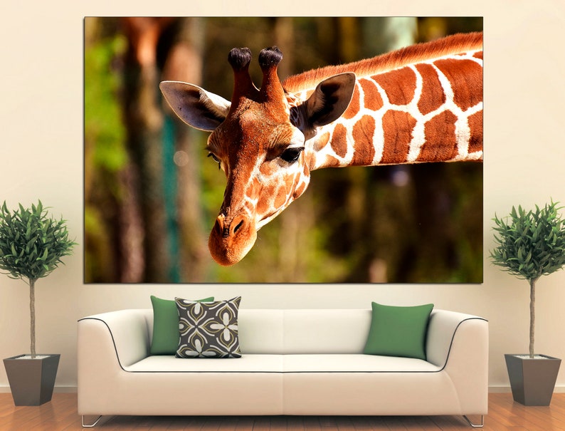 May include: A close-up of a giraffe's head and neck, with a brown and white patterned coat. The giraffe is looking directly at the camera, with its long neck bent down. The background is blurred, showing green foliage.