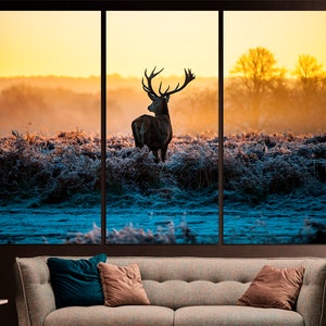 May include: A silhouette of a red deer stag with large antlers standing in a field of frosty grass at sunrise. The background is a hazy orange and yellow.