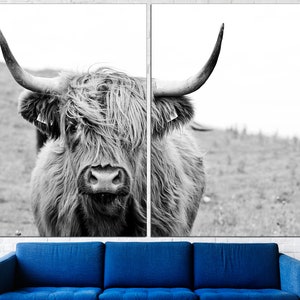 May include: A black and white photograph of a Highland cow with long, shaggy hair. The cow is looking directly at the camera with its large horns.