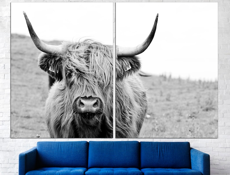 May include: A black and white photograph of a Highland cow with long, shaggy hair. The cow is looking directly at the camera with its large horns.