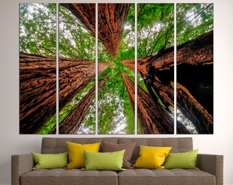 Tree Branch Canvas Print | Large Forest Wall Art