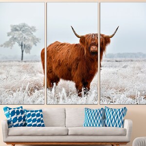 K&ouml;nnte beinhalten: Eine braune Highland-Kuh mit langem, struppigem Fell steht auf einem schneebedeckten Feld. Die Kuh hat gro&szlig;e H&ouml;rner und schaut direkt in die Kamera.