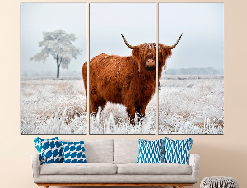 K&ouml;nnte beinhalten: Eine braune Highland-Kuh mit langem, struppigem Fell steht auf einem schneebedeckten Feld. Die Kuh hat gro&szlig;e H&ouml;rner und schaut direkt in die Kamera.