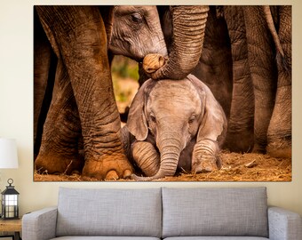 Baby Elephant Canvas Print, African Animal Photography, Nursery Decor