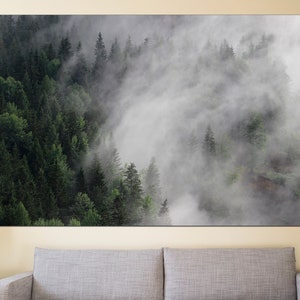 May include: A misty forest scene with tall evergreen trees and fog swirling through the branches. The image is taken from a high vantage point, giving a panoramic view of the forest.
