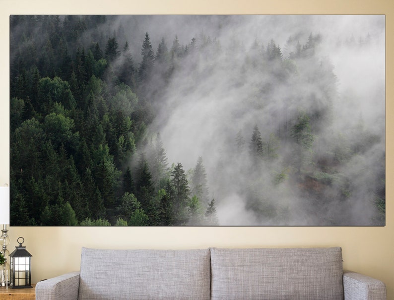 May include: A misty forest scene with tall evergreen trees and fog swirling through the branches. The image is taken from a high vantage point, giving a panoramic view of the forest.