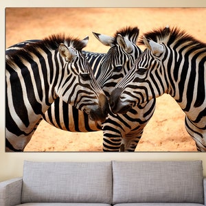 Pode incluir: Tr&ecirc;s zebras est&atilde;o juntas em um campo. As zebras t&ecirc;m listras pretas e brancas. As zebras est&atilde;o de frente uma para a outra e parecem estar interagindo.