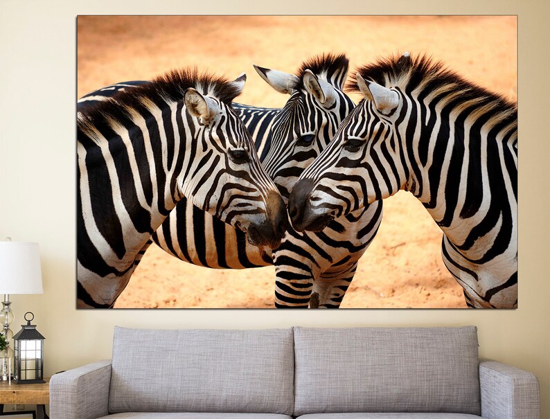 Pode incluir: Tr&ecirc;s zebras est&atilde;o juntas em um campo. As zebras t&ecirc;m listras pretas e brancas. As zebras est&atilde;o de frente uma para a outra e parecem estar interagindo.