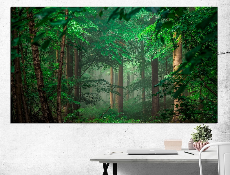 Forest Canvas Art Canvas Wall Art Forest Print Best Seller Art Etsy UK
