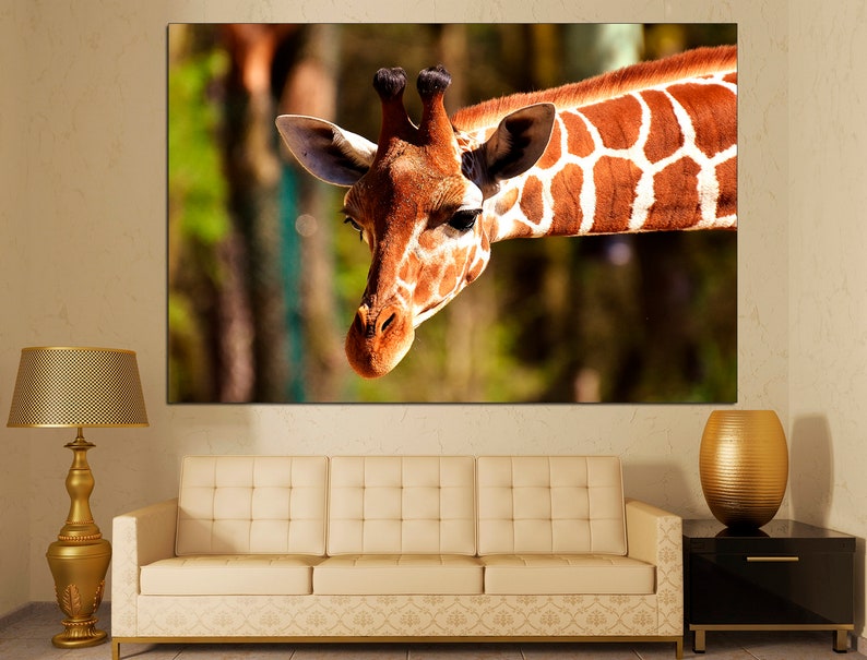 May include: Close-up of a giraffe's head and neck, showing its brown and white spotted pattern. The giraffe is looking directly at the camera with its long eyelashes and large brown eyes.