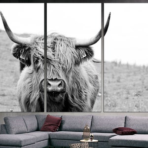 May include: A black and white photograph of a Highland cow with long, shaggy hair. The cow is looking directly at the camera with a serious expression.