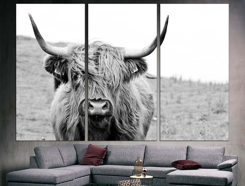 May include: A black and white photograph of a Highland cow with long, shaggy hair. The cow is looking directly at the camera with a serious expression.