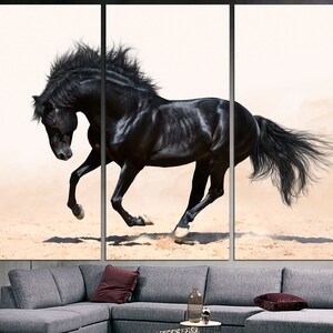 May include: A black horse runs through a sandy area with its mane and tail flowing in the wind. The horse is in sharp focus against a white background.