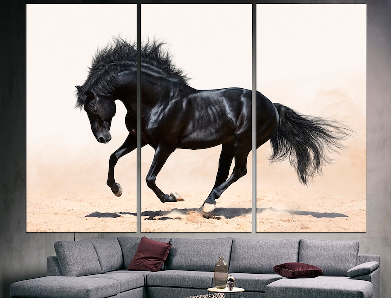 May include: A black horse runs through a sandy area with its mane and tail flowing in the wind. The horse is in sharp focus against a white background.