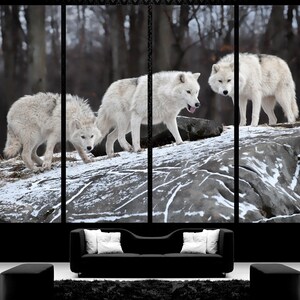 Puede incluir: Tres lobos blancos se encuentran de pie sobre una roca nevada en un bosque. Los lobos se miran. El bosque est&aacute; cubierto de nieve.