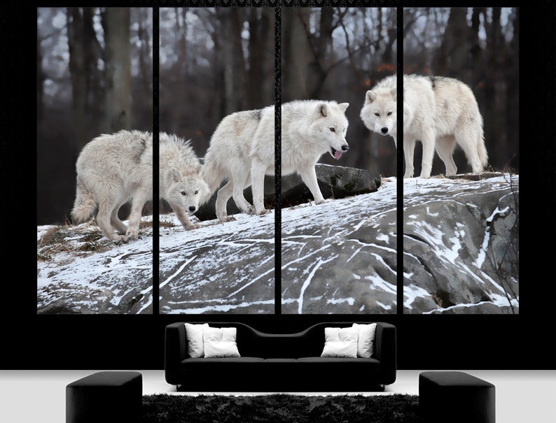 Puede incluir: Tres lobos blancos se encuentran de pie sobre una roca nevada en un bosque. Los lobos se miran. El bosque est&aacute; cubierto de nieve.