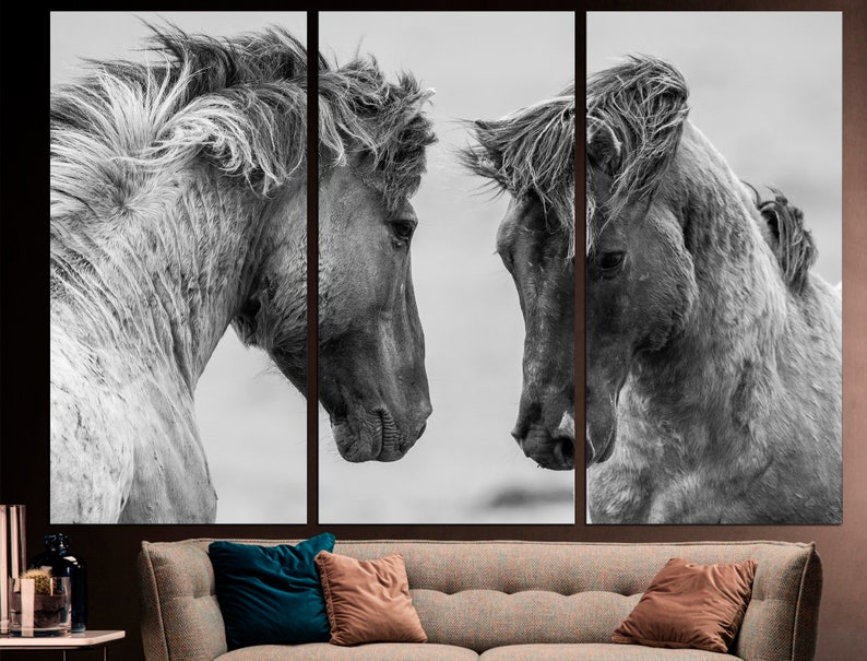 May include: Two black and white horses with their heads close together, looking at each other. The horses have long manes and tails, and their coats are textured. The background is a blurred white.