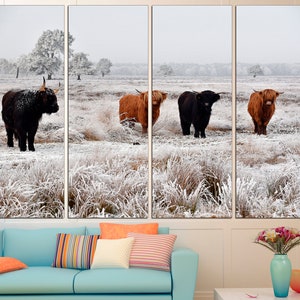 May include: Four Highland cattle stand in a snowy field. The cattle are brown and black with long, shaggy coats. The field is covered in white frost.
