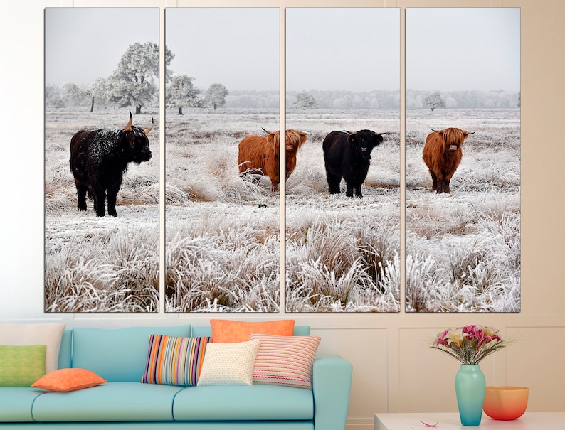 May include: Four Highland cattle stand in a snowy field. The cattle are brown and black with long, shaggy coats. The field is covered in white frost.