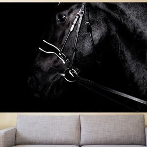 May include: A black horse's head in a dark setting, with a leather bridle and bit. The horse's eye is visible, and the bridle is in focus.