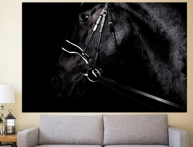 May include: A black horse's head in a dark setting, with a leather bridle and bit. The horse's eye is visible, and the bridle is in focus.
