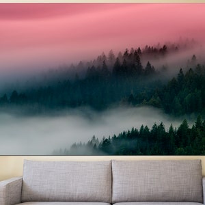 May include: A misty forest scene with a pink sky in the background. The trees are dark green and the fog is white.