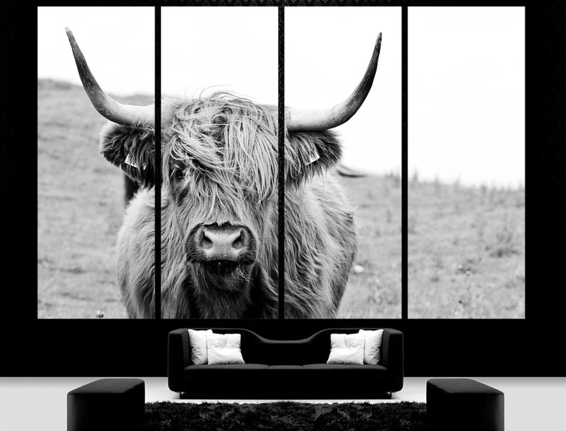 May include: Black and white photograph of a Highland cow with long, shaggy hair. The cow is looking directly at the camera with its horns pointing up.