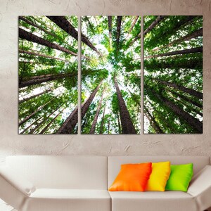 May include: A panoramic view of a forest canopy, looking up at the tall trees with green leaves and brown trunks. The trees are reaching up towards the sky, creating a sense of height and grandeur.
