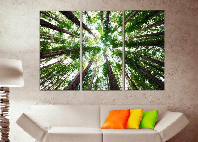 May include: A panoramic view of a forest canopy, looking up at the tall trees with green leaves and brown trunks. The trees are reaching up towards the sky, creating a sense of height and grandeur.