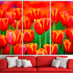 May include: A close-up of a field of red and yellow tulips. The tulips are in focus, while the background is blurred.