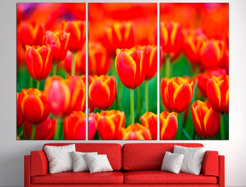 May include: A close-up of a field of red and yellow tulips. The tulips are in focus, while the background is blurred.