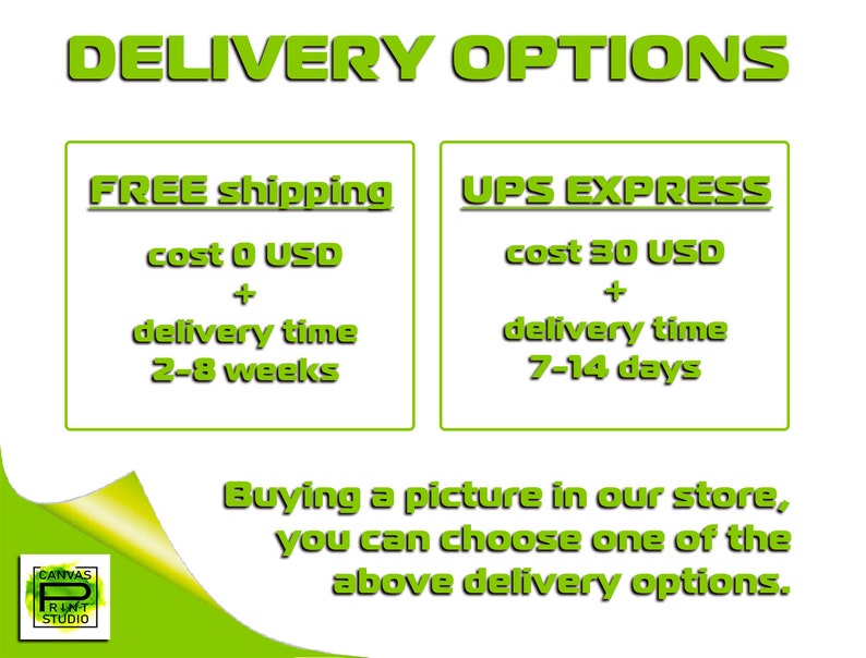 May include: Green and white graphic with the text "DELIVERY OPTIONS" in large green letters. Two boxes with green borders contain information about free shipping and UPS Express shipping options. The free shipping option has a cost of 0 USD and a delivery time of 2-8 weeks. The UPS Express shipping option has a cost of 30 USD and a delivery time of 7-14 days. The text "Buying a picture in our store, you can choose one of the above delivery options." is below the boxes.