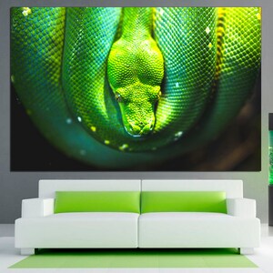 May include: A close-up of a green snake coiled up, with its head in the center of the image. The snake has a textured, scaly skin and a bright green color.