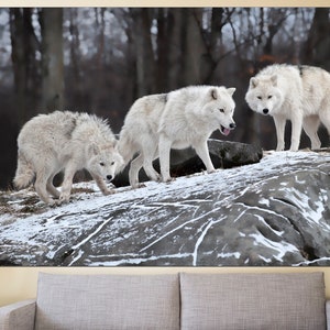 Puede incluir: Tres lobos blancos se encuentran de pie sobre una roca nevada en un entorno boscoso. Los lobos miran en diferentes direcciones, y la nieve cubre el suelo y las rocas.