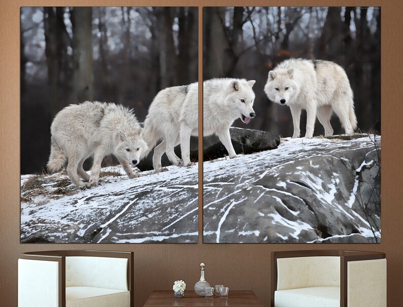 Puede incluir: Tres lobos blancos se paran en una roca nevada en un bosque de invierno. Los lobos se miran, y el que est&aacute; en frente saca la lengua.