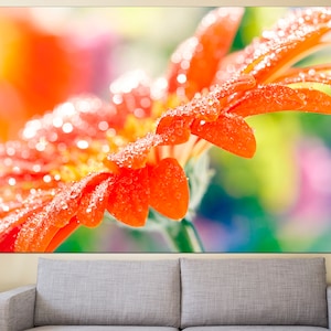 Orange Flower Canvas Flower Wall Art Large Canvas Art Orange Abstract Art Orange Flower Photo Floral Canvas