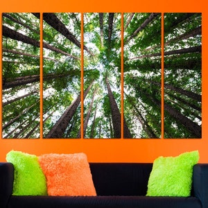 May include: A panoramic view of a forest from below, looking up at the tall trees with their green leaves and branches reaching towards the sky.