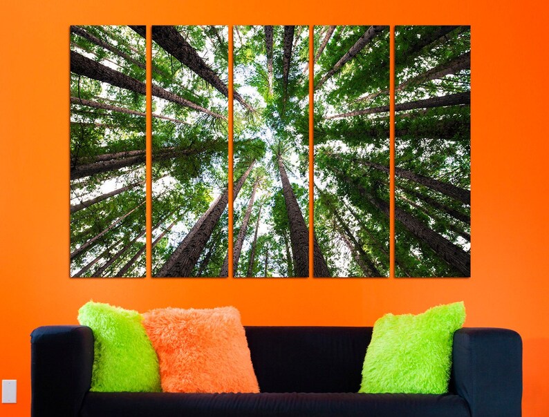 May include: A panoramic view of a forest from below, looking up at the tall trees with their green leaves and branches reaching towards the sky.