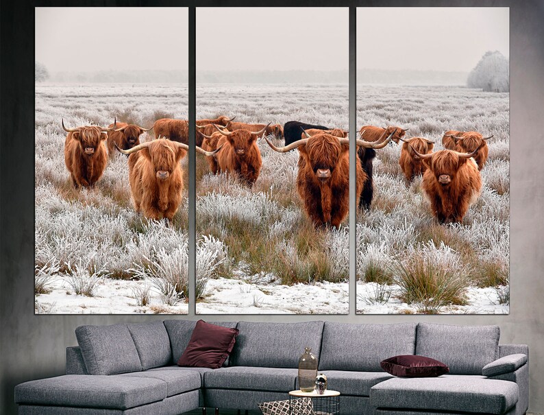 K&ouml;nnte beinhalten: Eine Gruppe brauner Highland-Rinder steht auf einem schneebedeckten Feld. Die Rinder blicken in die Kamera und haben langes, zotteliges Fell. Das Feld ist mit wei&szlig;em Schnee und Frost bedeckt.